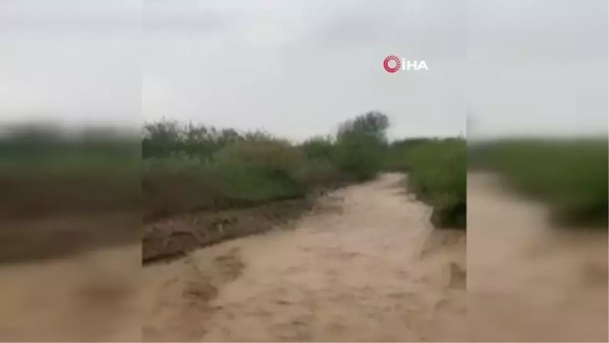 Elazığ'da dereler taştı, su altında kalan tarım arazileri zarar gördü
