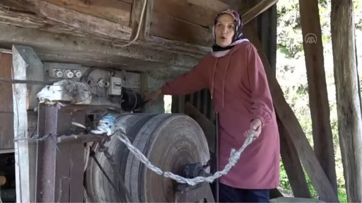 Ev ve arazilerine ilkel teleferikle ulaşıyorlar