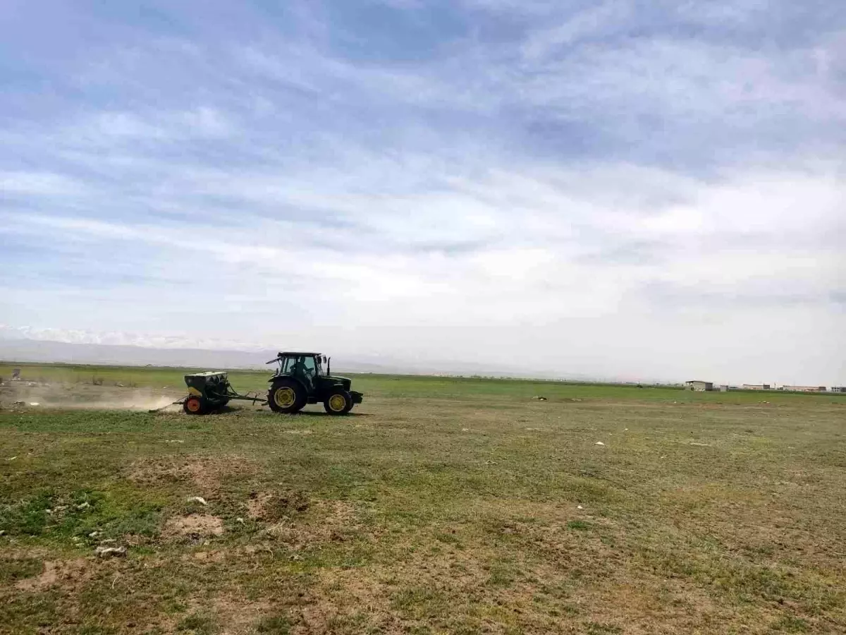 Niğde'de mera alanları yeşerecek