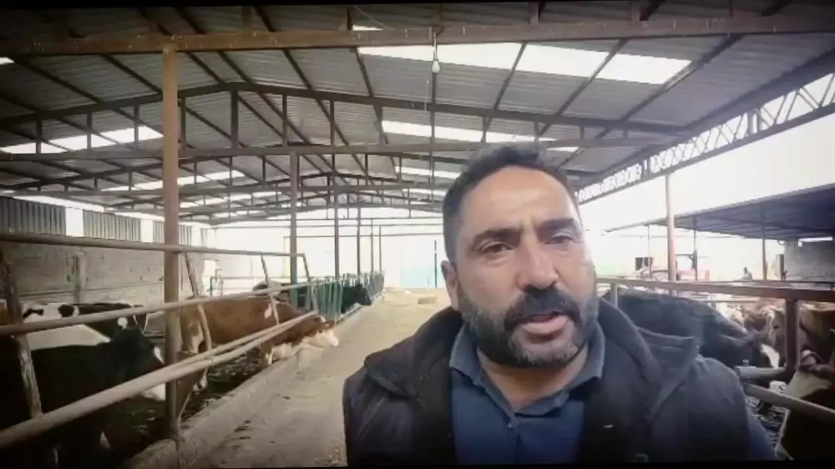 Süt Üreticileri, Ulusal Süt Konseyi'nin Fiyatları Artırmamasına Tepkili: 'Her Gün Litre Başı 2 Lira Zarar Ediyoruz'