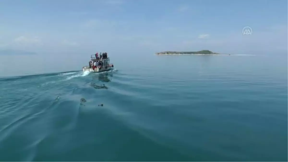 Van Gölü'nün dört adası etkinliklerle tanıtılıyor