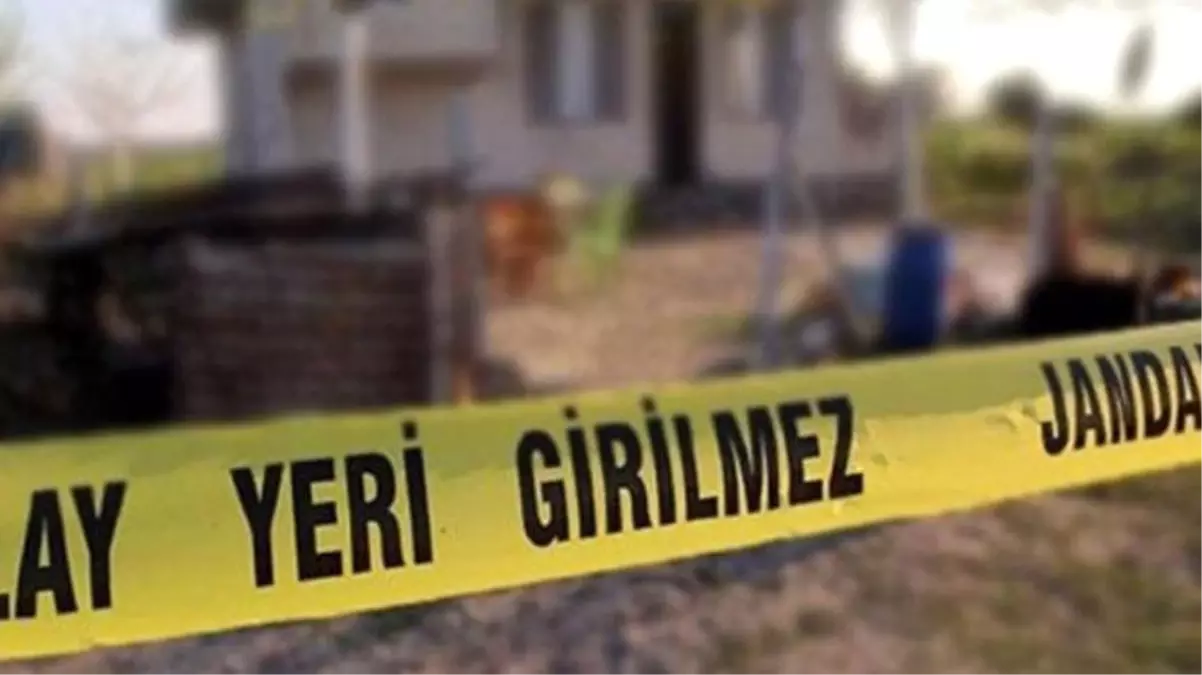 Arazi kavgası yüzünden silahlar çekildi; anne öldü, oğlu ağır yaralandı