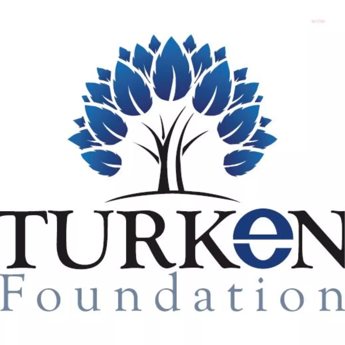 CHP ABD Temsilciliği, Ensar ve Türgev'in Kurduğu Türken Foundation'un Topladığı Bağışı Açıkladı: 9.3 Milyon Dolar