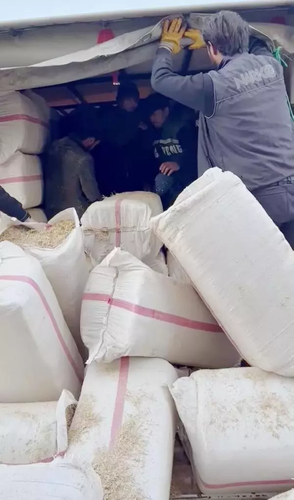 Kaçak Afganların saman balyaları arasındaki yolculuğu uzun sürmedi