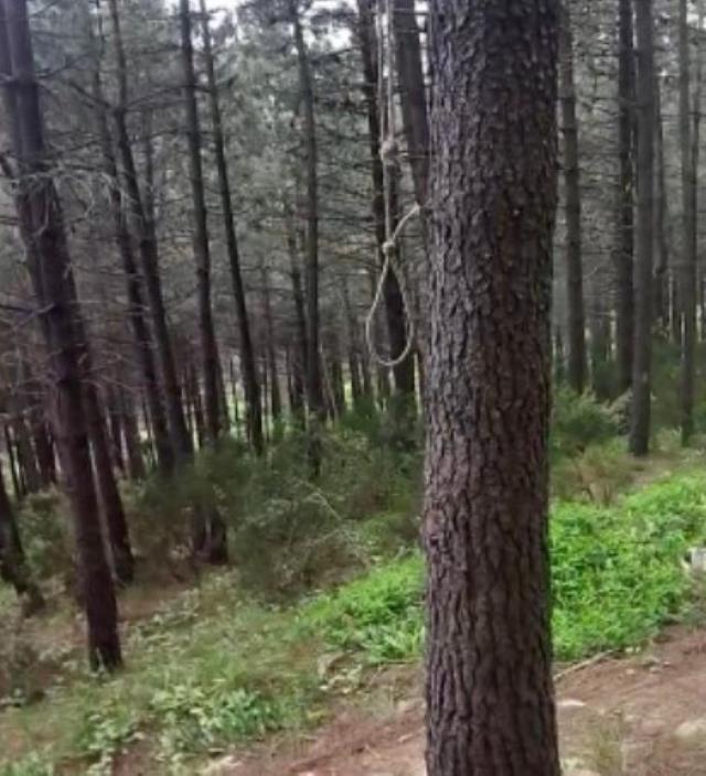 Sosyal medyada yayın açıp ' Allah'ın yanına kavuşmak istiyorum' diyerek intihar etti Sosyal medyada yayın açıp ' Allah'ın yanına kavuşmak istiyorum' diyerek intihar etti