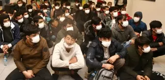 Afganistan ve Pakistan uyruklu 213 düzensiz göçmen sınır dışı edildi