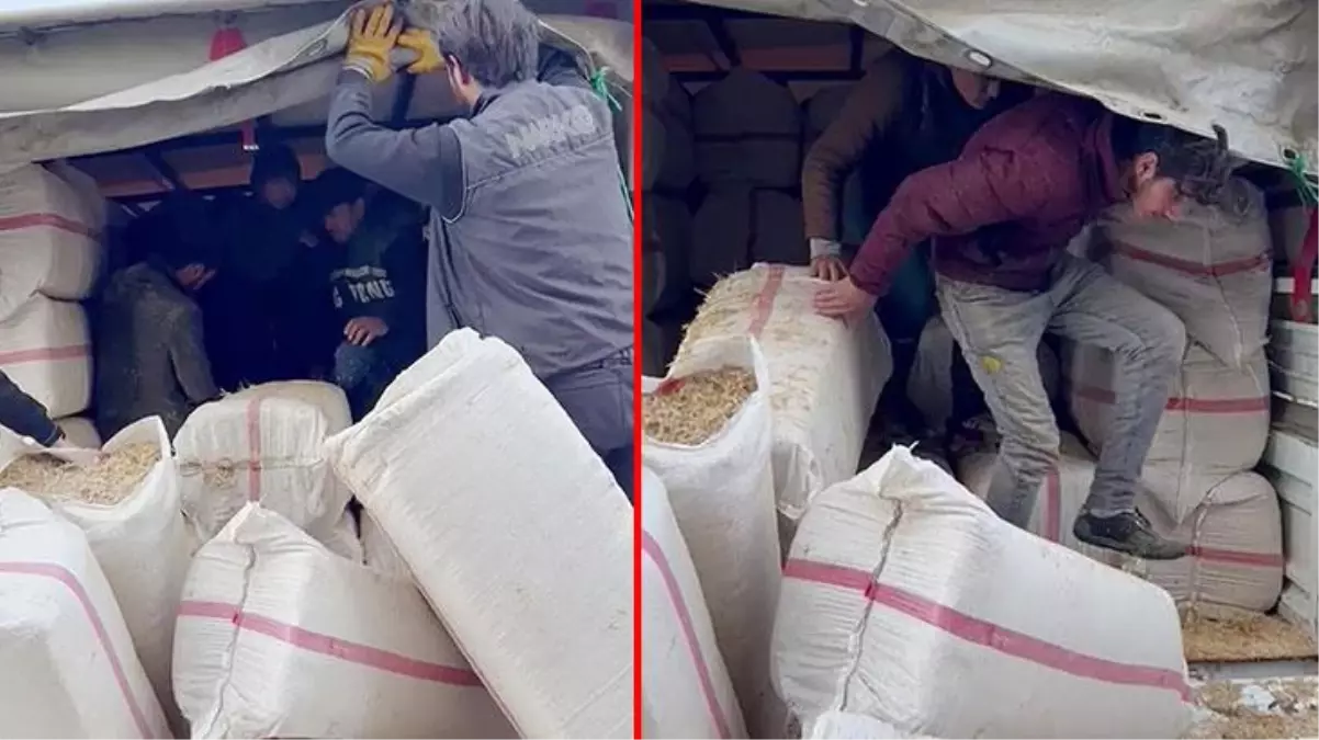 Kaçak Afganların saman balyaları arasındaki yolculuğu uzun sürmedi