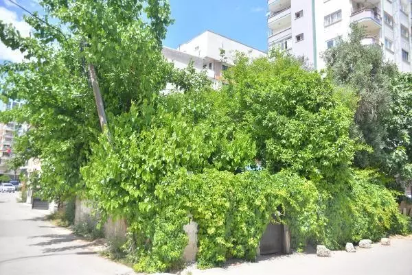 İhbar üzerine gittikleri evden bambaşka bir dram çıktı: Yalnızlık nedeniyle duygulanıp ağlamıştım, bir sorun yok
