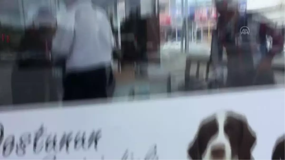 Veteriner kliniği camının evcil hayvan sahibince taşla kırıldığı iddiası