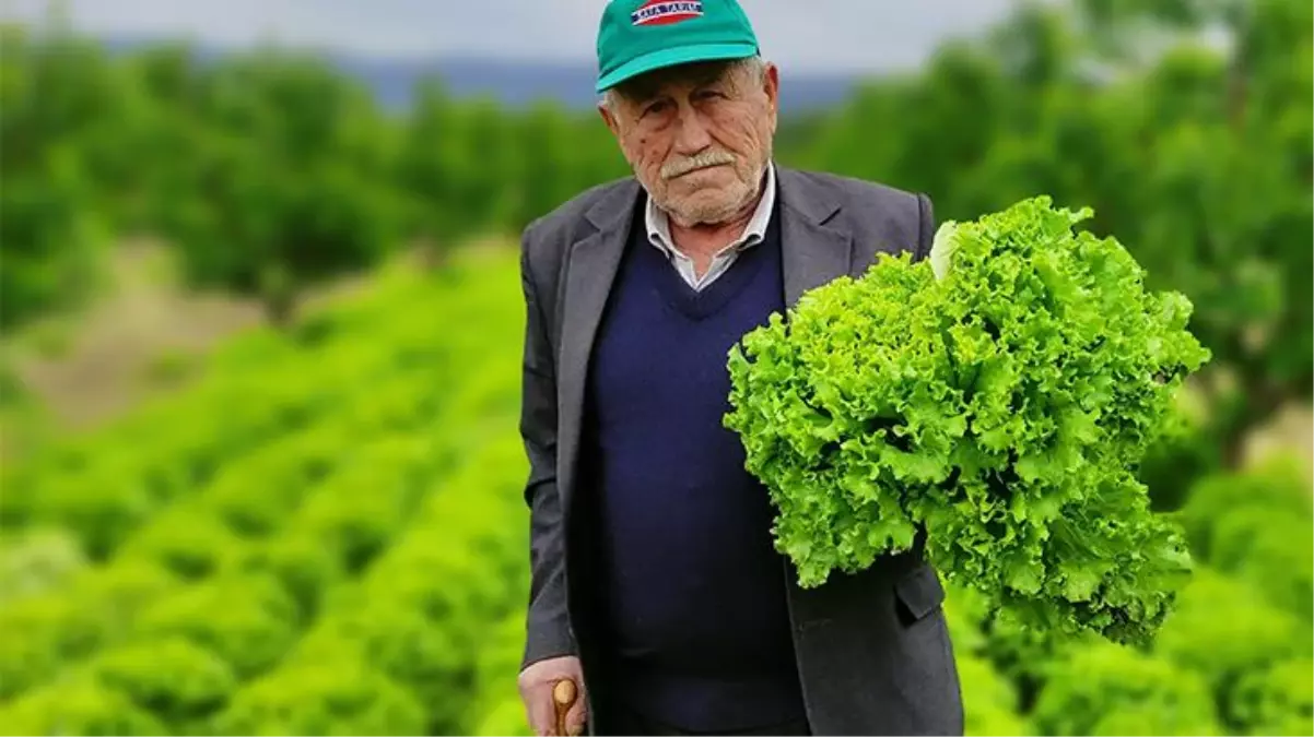 Üreticiler 10 liralık kar payına isyan etti! Ucuz sebze isteyen tüketiciyi tarlaya çağırdı