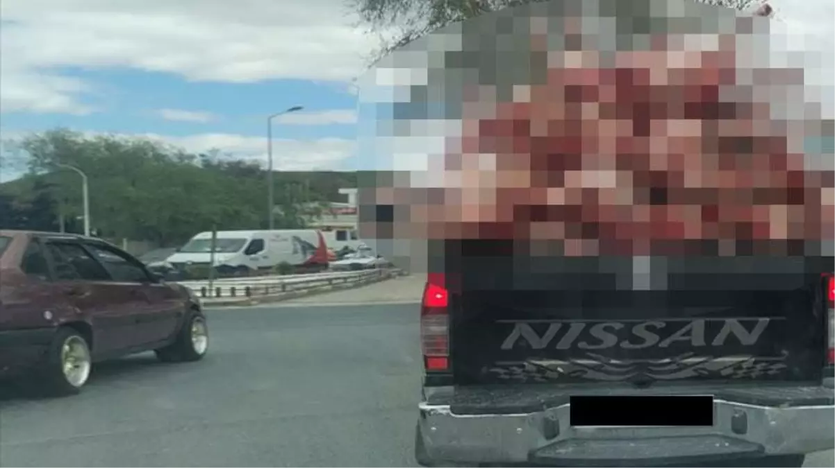 Ankara'nın ortasında akılalmaz görüntüler! Kilolarca eti, açık kamyon arkasında taşıdılar