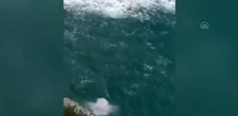 Kayalıklardan denize atlayan genç boğulma tehlikesi geçirdi