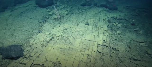 Okyanus dibine dalan dalgıcın karşılaştığı gizemli yol yüzünden dili tutuldu: İnsanlık bunu görmeli Okyanus dibine dalan dalgıcın karşılaştığı gizemli yol yüzünden dili tutuldu: İnsanlık bunu görmeli