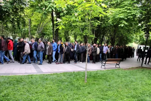 Her şey bedava fide almak için! Geceden sıraya giren vatandaşlar uzun kuyruklar oluşturdu Her şey bedava fide almak için! Geceden sıraya giren vatandaşlar uzun kuyruklar oluşturdu