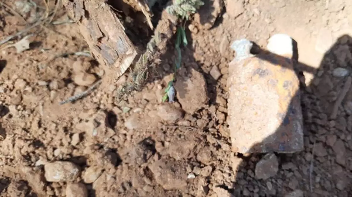 Ormanlık alanda yürüyen köylüler patlamamış bomba tespit etti