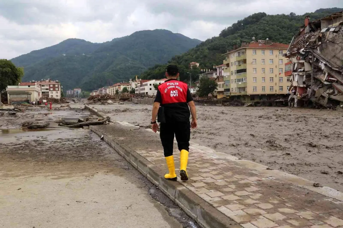 Emniyet'ten Bozkurt raporu: Sel felaketine bunlar sebep olmuş