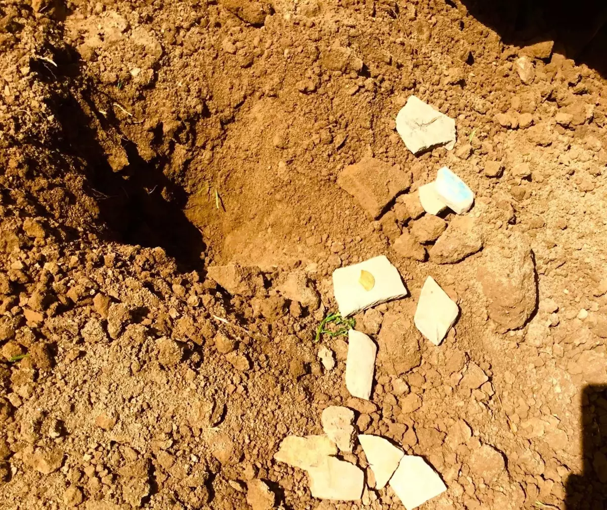 Özbekistan'da bahçesini sulamak isteyen kişi, yerde 10. yüzyıldan kalma 'Allah' ve 'Muhammed' yazılı altın sikke buldu