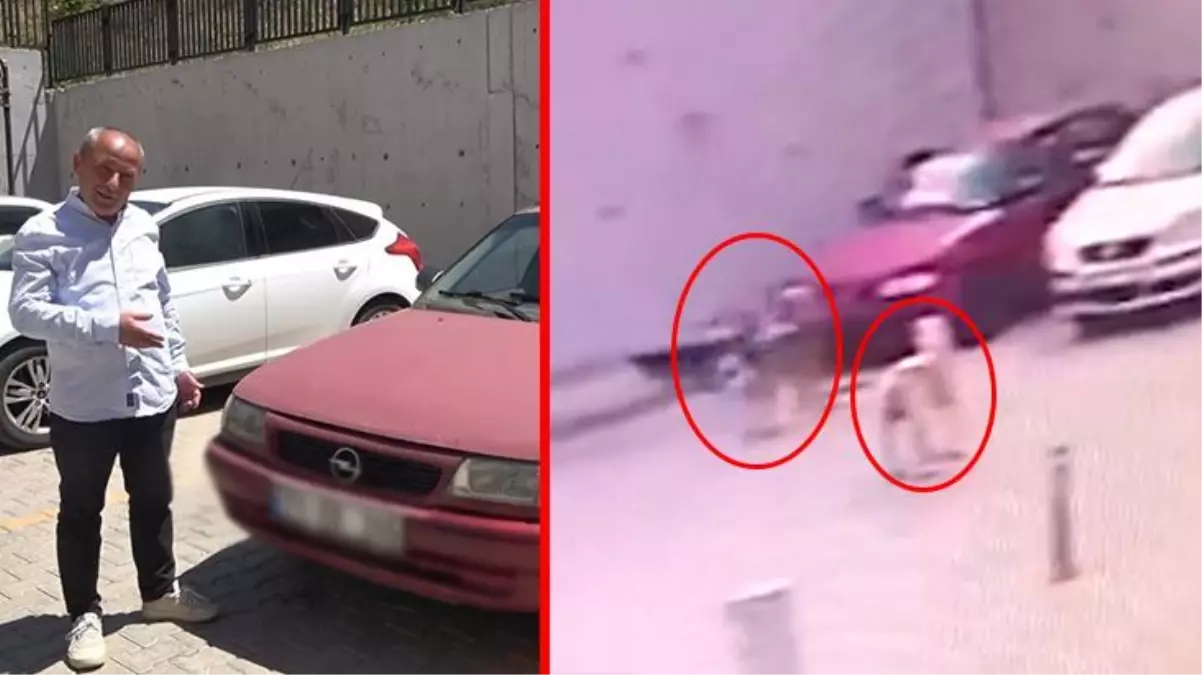 Arabasını parçalanmış halde buldu! Kamerada gördüğü manzara karşısında bir de özür diledi