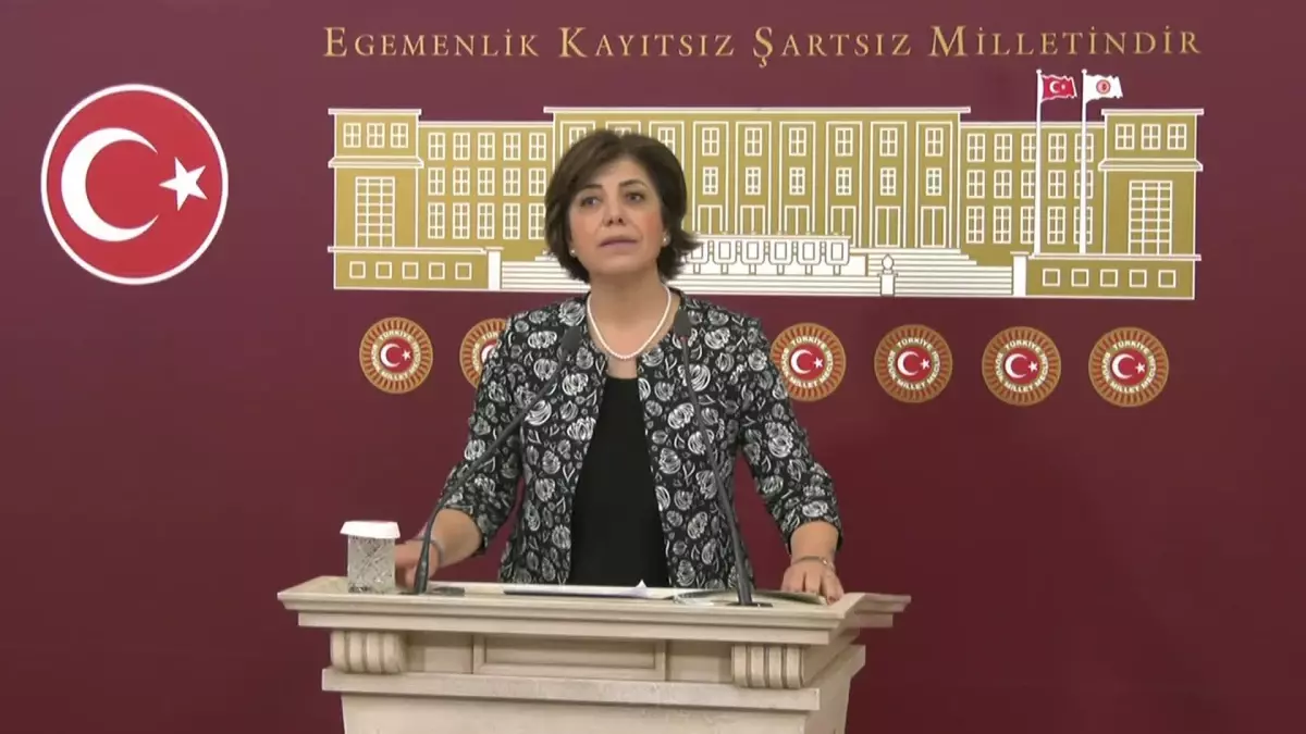 Beştaş: 'Bu Faizler Neden Nassa Takılmıyor? Nas, Yandaş Müteahhitler İçin Neden Kullanılmıyor?'
