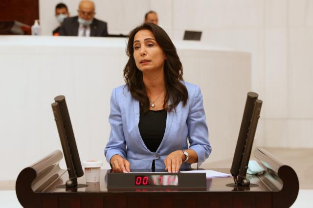 HDP'nin 'Mültecilerin sorunları araştırılsın' önergesi TBBM Genel Kurulu'nda reddedildi