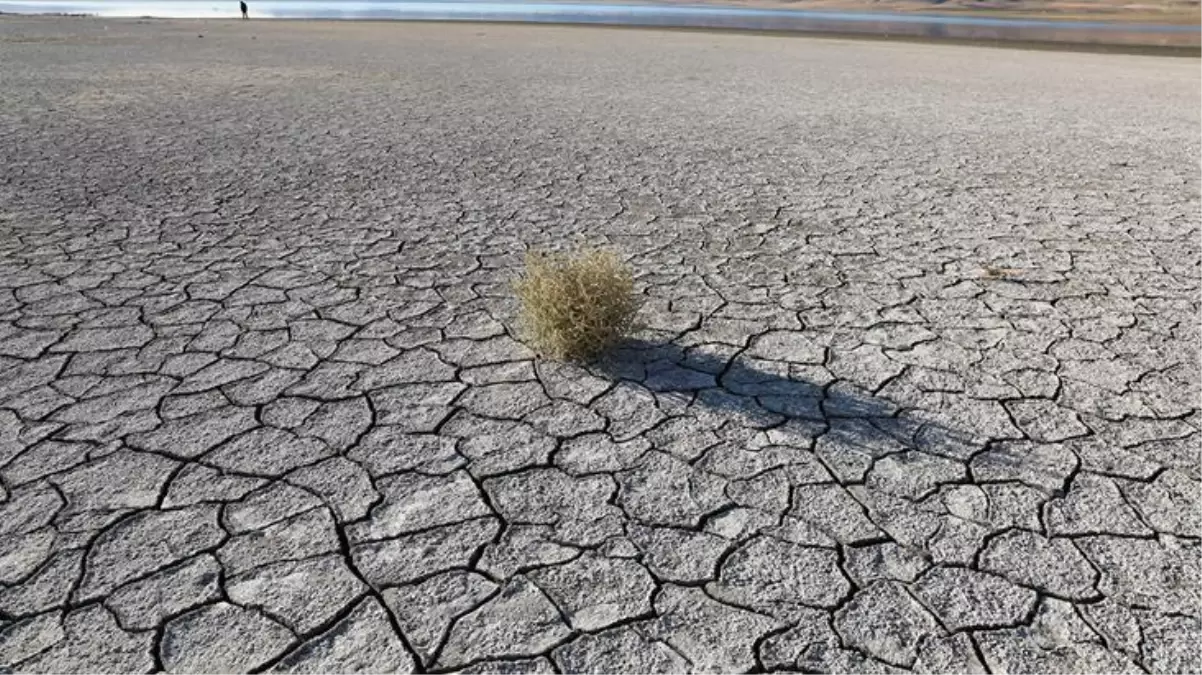 Bilim dünyası tedirgin! Dünya'nın sıcaklığı 5 yıl içinde 1,5 santigrat derece artacak
