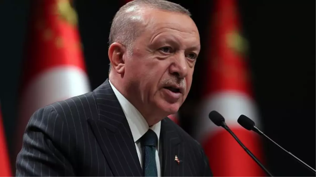 Cumhurbaşkanı Erdoğan'dan sokak hayvanları talimatı: Çalışmalarınızı hızlandırın