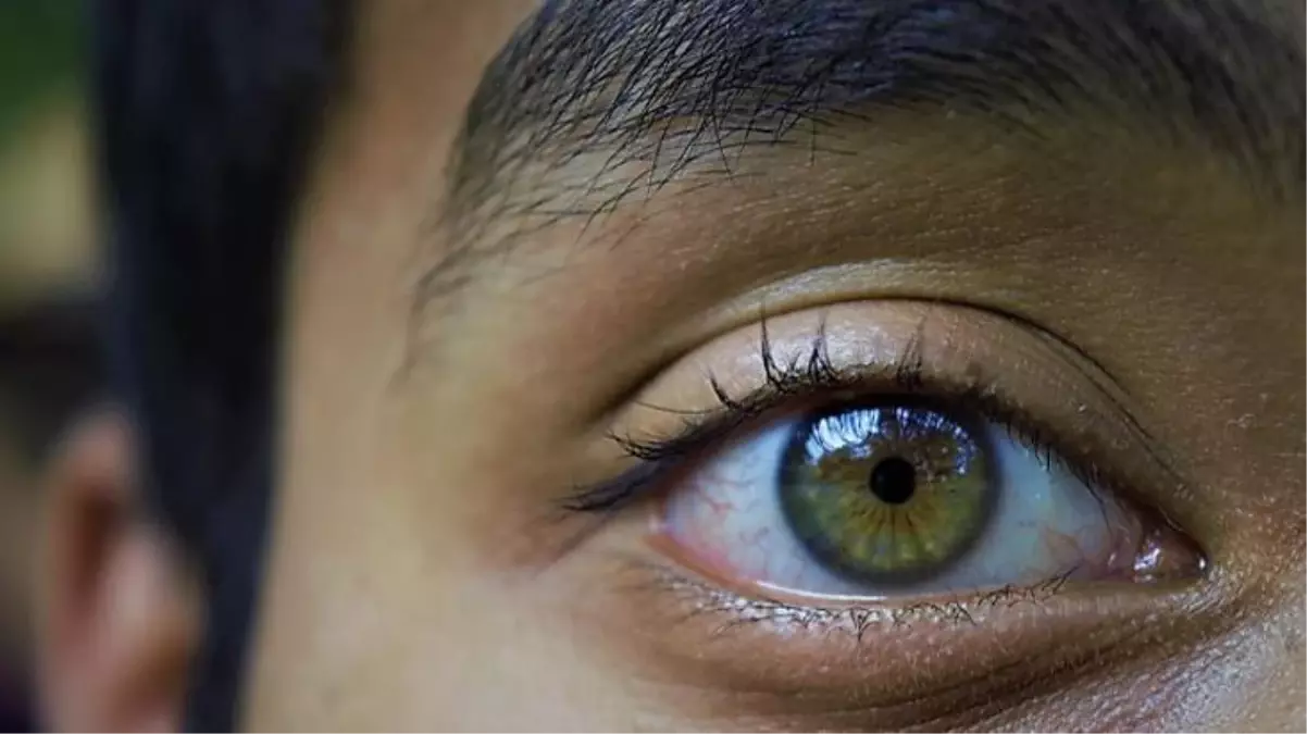 Dünya bu araştırmayı konuşuyor! Bilim insanlarının mucizevi keşfiyle ölümü yenme ihtimali doğdu