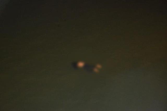 Adana'da yasak aşk intiharı: Kadın öldü, erkek kurtuldu