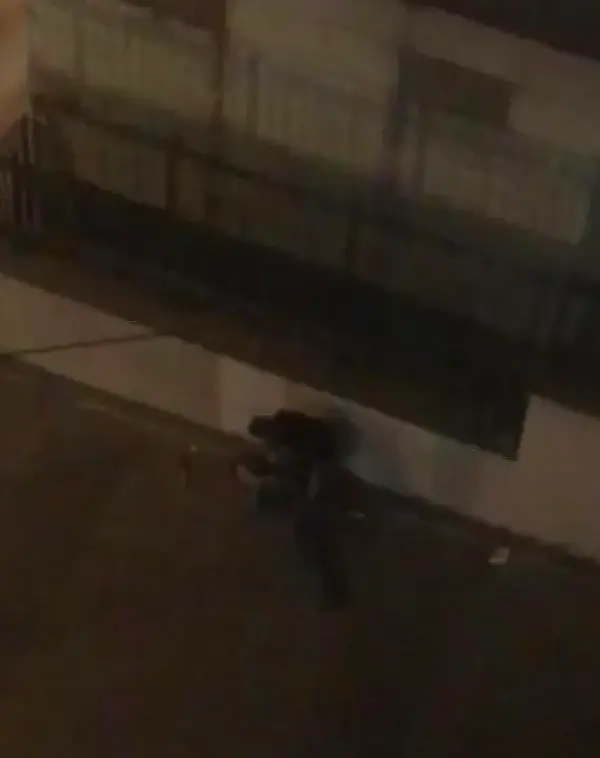 Öğrencisine cinsel içerikli görüntü yolladığı iddia edilen öğretmen sokak ortasında sopayla darbedildi Öğrencisine cinsel içerikli görüntü yolladığı iddia edilen öğretmen sokak ortasında sopayla darbedildi