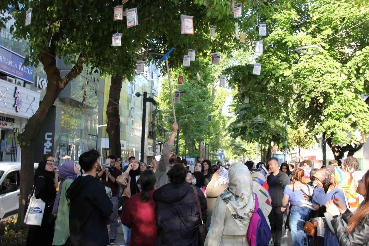 Tarihi çınar ağaçlarından 'kitap' topladılar