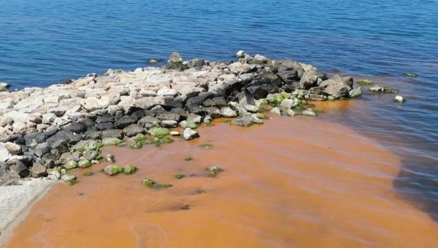Karadeniz'de korkutan renk değişimi! Boya döküldü sandılar gerçek çok başka çıktı