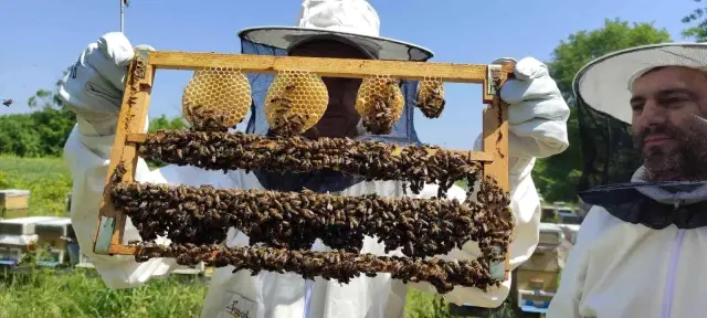 Kilosu 10 bin liradan satılıyor...Siparişlere yetişemiyor Kilosu 10 bin liradan satılıyor...Siparişlere yetişemiyor