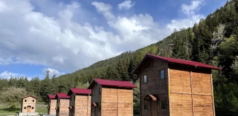 Posof'un ormanlar arasındaki bungalov evleri cezbedecek