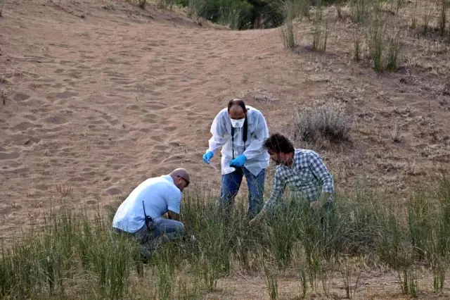 Etrafına çok sayıda fotoğraf saçılmış erkek cansız bedeni bulundu