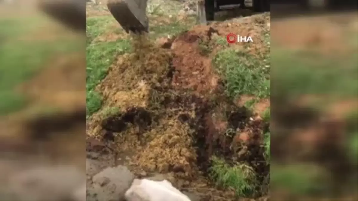 Son Dakika | Çamura saplanan inek itfaiye ekipleri tarafından kurtarıldı