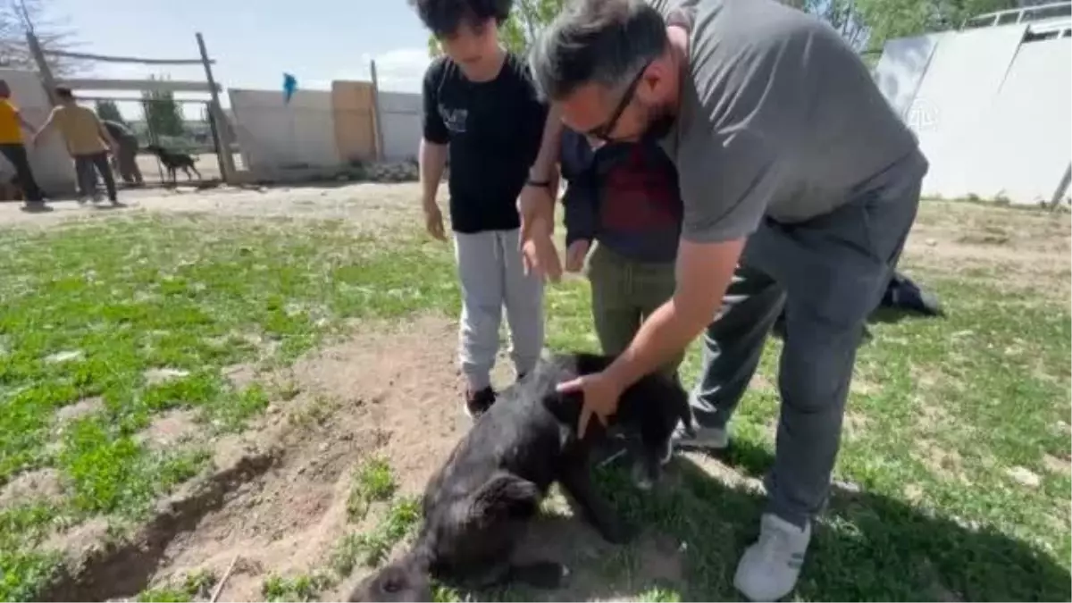 Otizmli çocuklar, can dostlarıyla sosyal iletişimlerini geliştiriyor