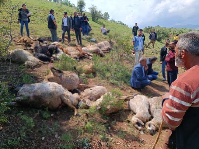 Çoban kafasını gökyüzüne kaldırınca dehşete düştü! Kaşla göz arasında tüm koyun sürüsü küle döndü Çoban kafasını gökyüzüne kaldırınca dehşete düştü! Kaşla göz arasında tüm koyun sürüsü küle döndü
