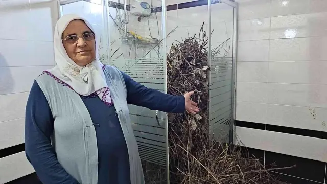 Sakarya'da şaşırtan olay: Kargalar evi bakın ne hale getirdi