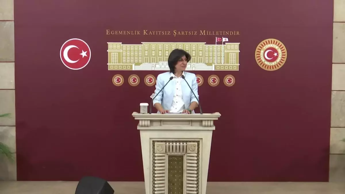 Sibel Özdemir'den Yargı Tepkisi: 'İç Politikada Muhalefeti Sindirmeye Dönük Bir Kazanım Elde Etmek İsterken Dış Politikada İtibar Kaybına Neden...