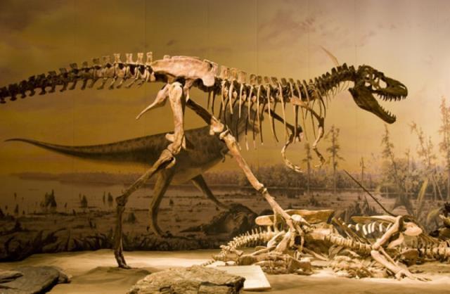 Çin'de 125 milyon yıllık otçul dinozor fosili bulundu Çin'de 125 milyon yıllık otçul dinozor fosili bulundu