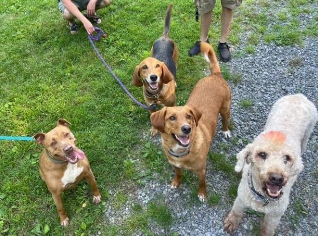 Yatakta uyuyan karısına sarıldığını sandı, karşısındakiyle göz göze gelince korkudan titredi Yatakta uyuyan karısına sarıldığını sandı, karşısındakiyle göz göze gelince korkudan titredi