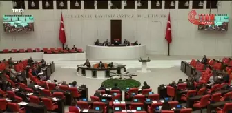 CHP'li Altaca Kayışoğlu, TBMM'de Önce 'Everyway That I Can' Sonra da 'Dar Hejiroke'yi Söyledi