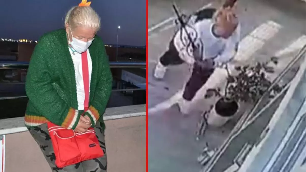 Komşusunun 'Canım benim' dediği hayvansever kadın sinir krizi geçirdi