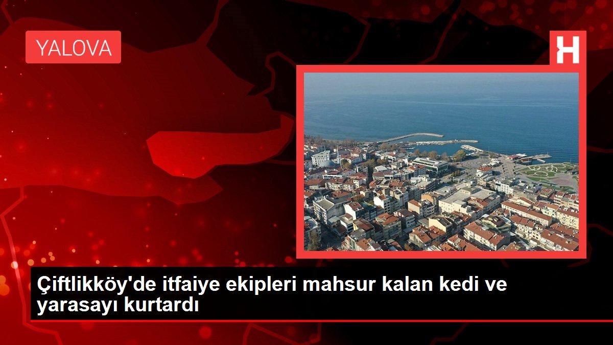 Çiftlikköy'de itfaiye ekipleri mahsur kalan kedi ve yarasayı kurtardı