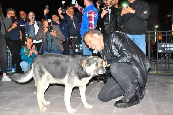 19 Mayıs'ı sahnede kutlayan Haluk Levent, sokak köpeğiyle yere uzanarak şarkı söyledi