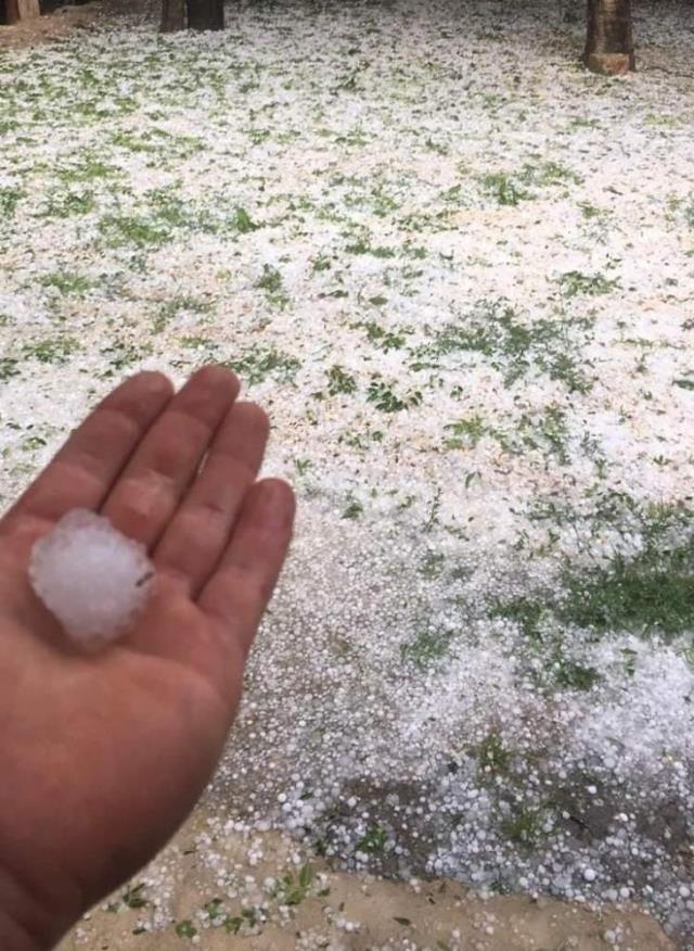 Mayıs ayında kar sürprizi! Hava sıcaklıklarının aniden düşmesiyle 12 il beyaza büründü Mayıs ayında kar sürprizi! Hava sıcaklıklarının aniden düşmesiyle 12 il beyaza büründü