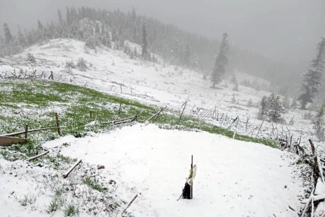 Mayıs ayında kar sürprizi! Hava sıcaklıklarının aniden düşmesiyle 12 il beyaza büründü