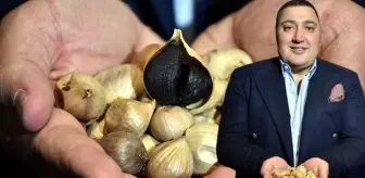 25 liralık Taşköprü sarımsağını siyaha dönüştürüp 2 bin euroya satıyor