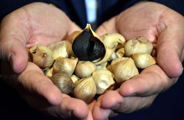 25 liralık Taşköprü sarımsağını siyaha dönüştürüp 2 bin euroya satıyor