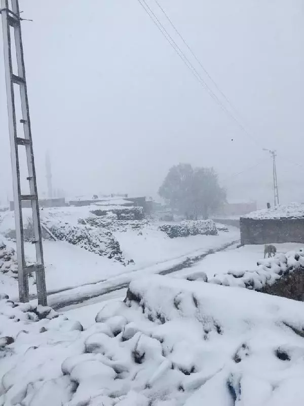 Ağrı'da mayıs ayında yağan kar şaşkınlık yarattı